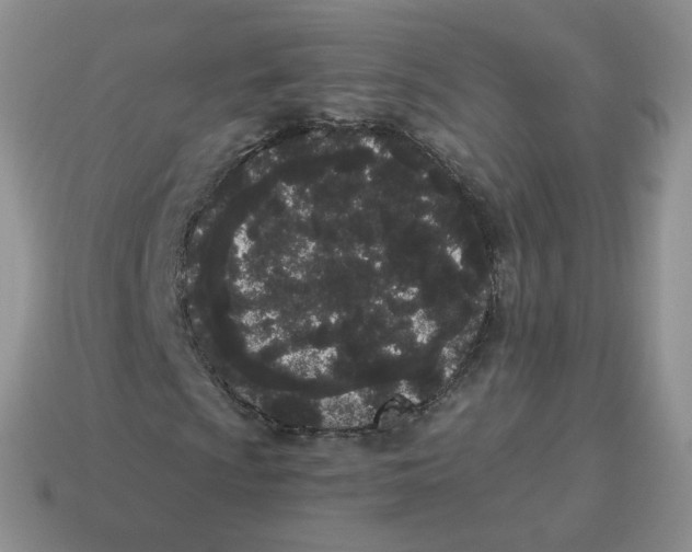 X0000114521009200911091146