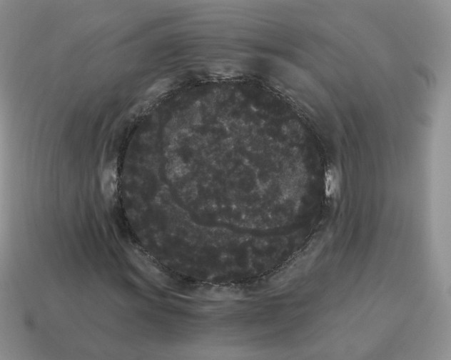 X0000114521011200911091146