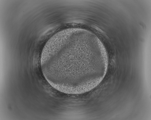 X0000114521014200911091146