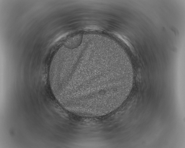 X0000114521015200911091146