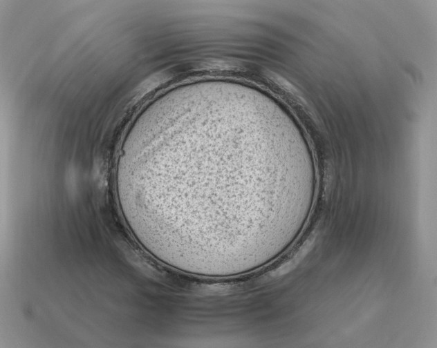 X0000114521017200911091146