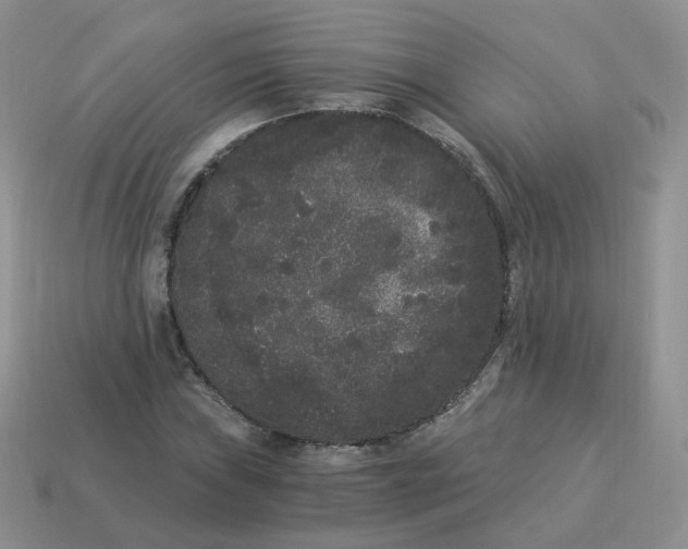 X0000114521019200911091146