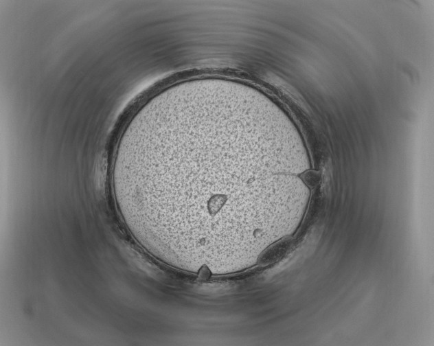 X0000114521021200911091146