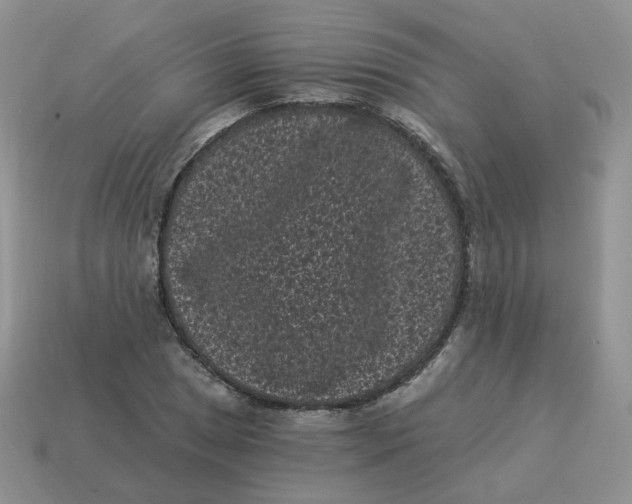 X0000114521025200911091146