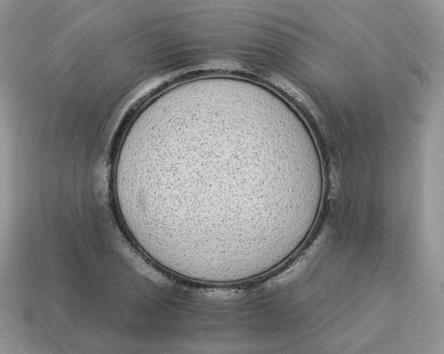 X0000114521029200911091146