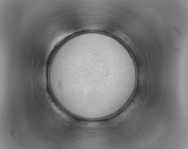 X0000114521030200911091146