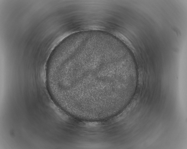 X0000114521031200911091146