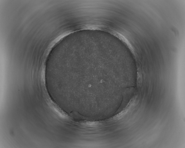 X0000114521035200911091146