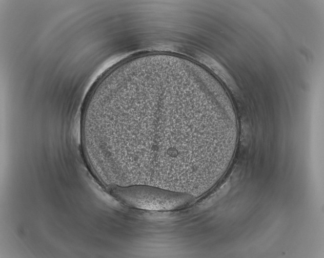 X0000114521036200911091146