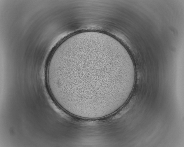 X0000114521038200911091146