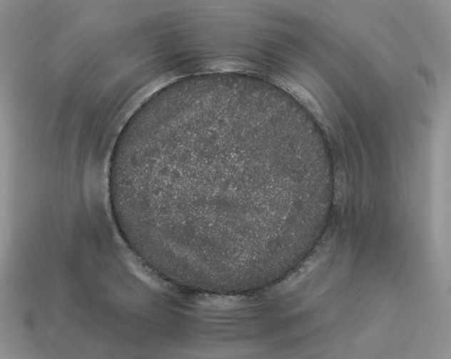 X0000114521039200911091146