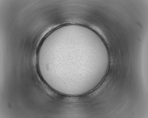 X0000114521040200911091146