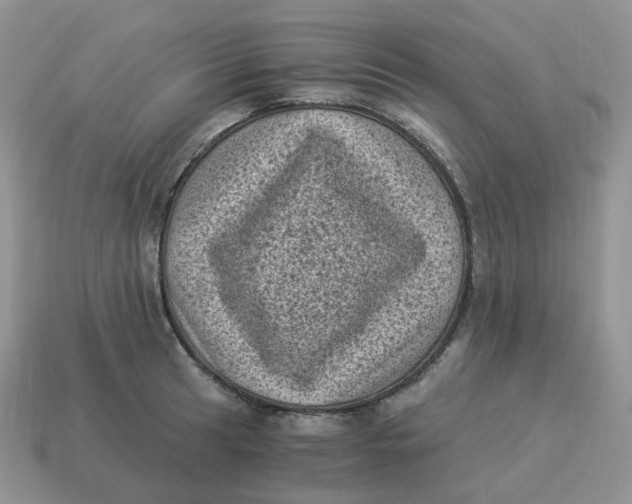 X0000114521041200911091147