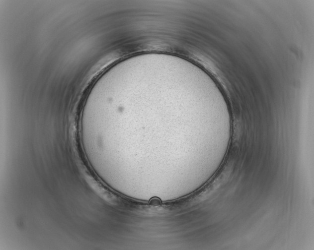 X0000114521042200911091147