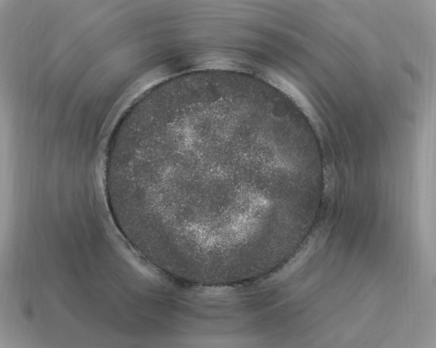 X0000114521043200911091147