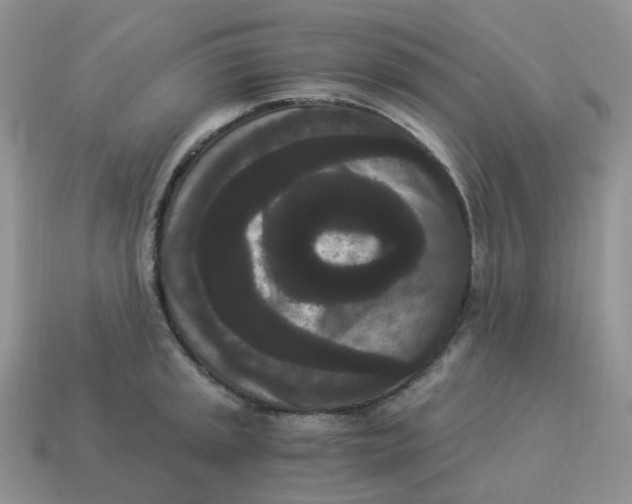 X0000114521045200911091147