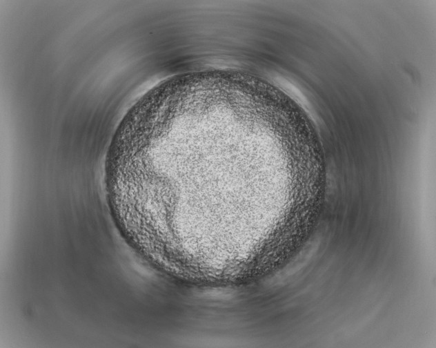 X0000114521047200911091147