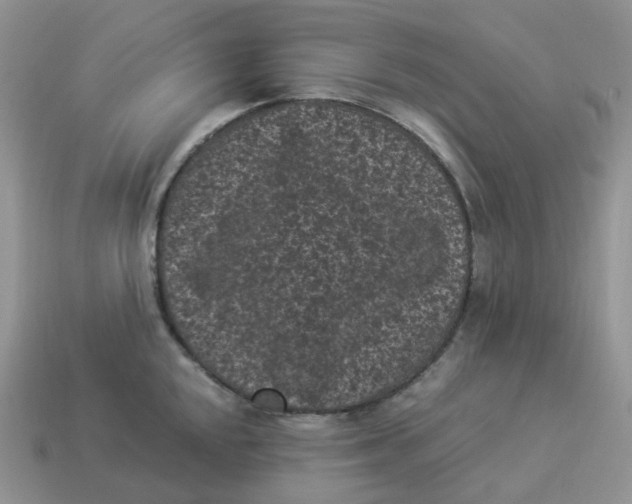 X0000114521048200911091147