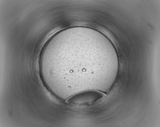 X0000114521050200911091147