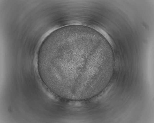 X0000114521051200911091147