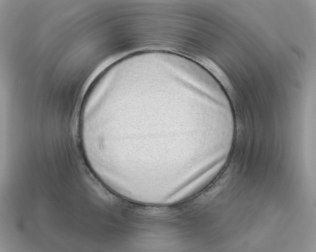 X0000114521052200911091147