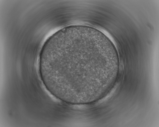 X0000114521053200911091147