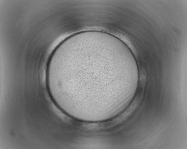 X0000114521054200911091147