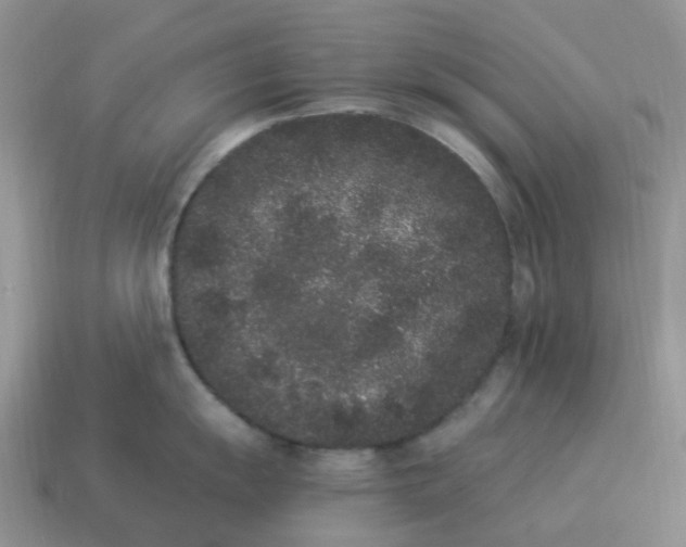 X0000114521055200911091147