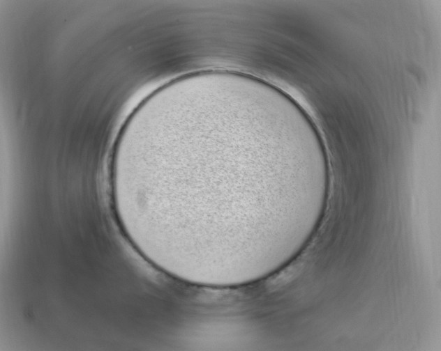 X0000114521056200911091147