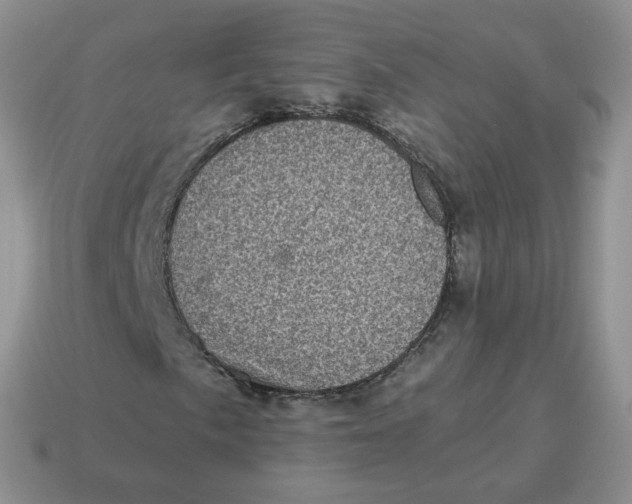 X0000114521057200911091146