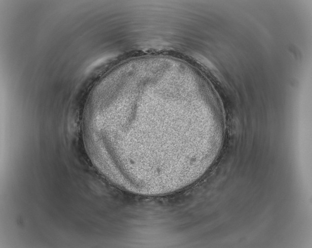 X0000114521063200911091146