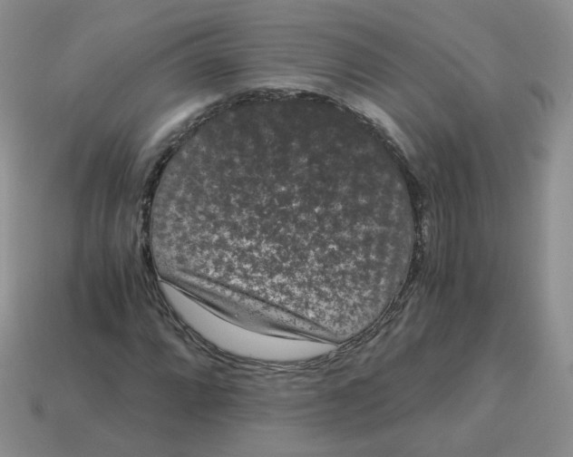 X0000114521064200911091146