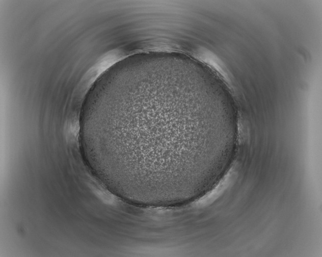 X0000114521065200911091146