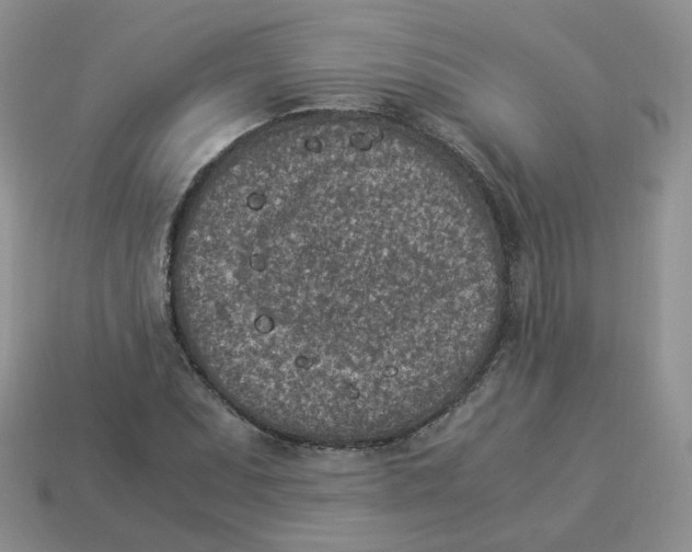 X0000114521071200911091146