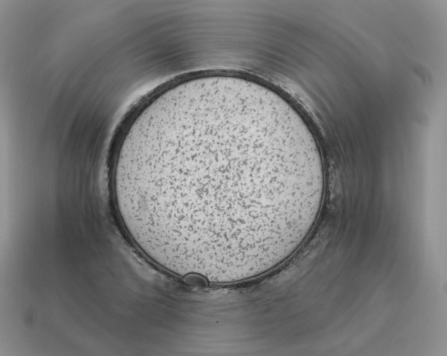 X0000114521072200911091146