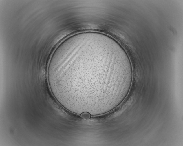 X0000114521073200911091146