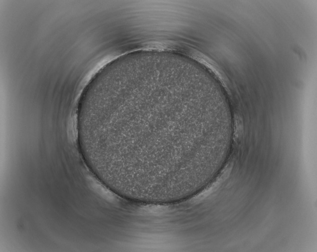 X0000114521075200911091146