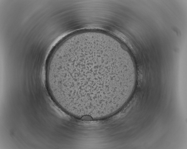 X0000114521076200911091146