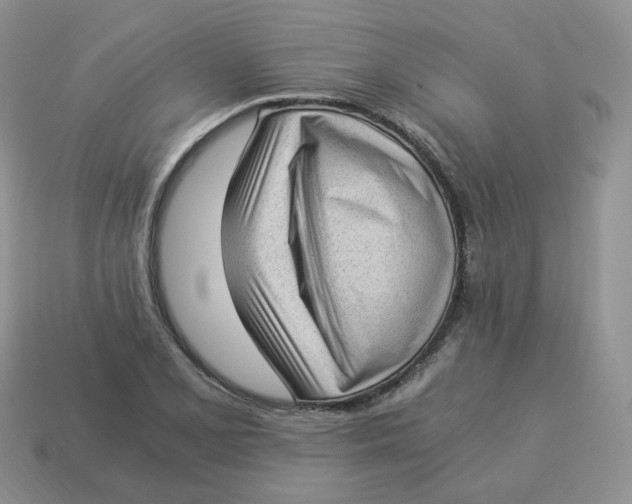 X0000114521077200911091146