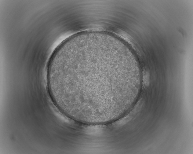 X0000114521078200911091146