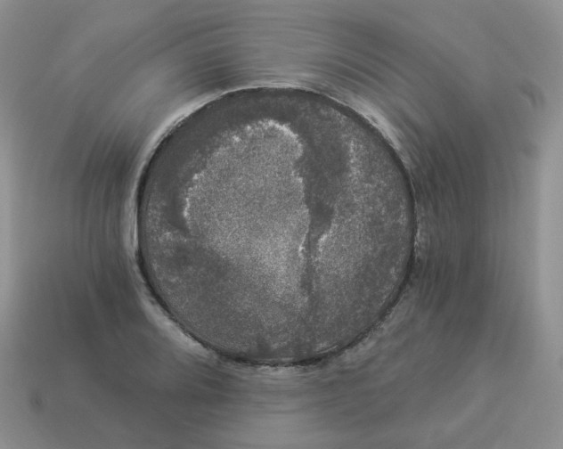 X0000114521080200911091146