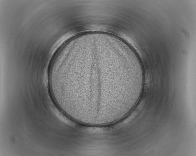 X0000114521082200911091146