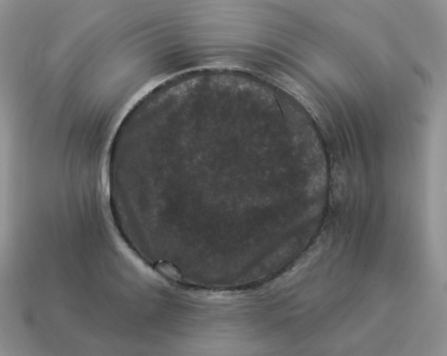 X0000114521084200911091146