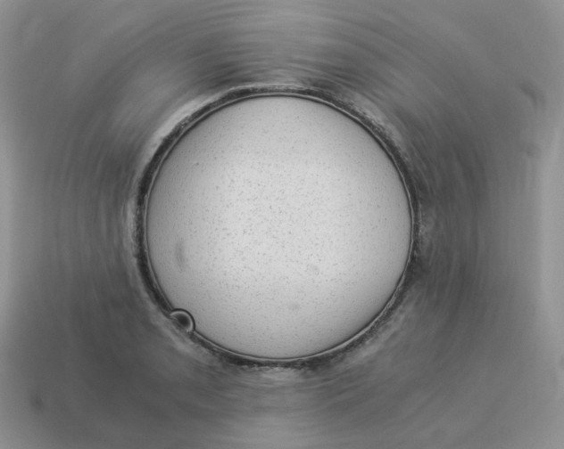 X0000114521085200911091146