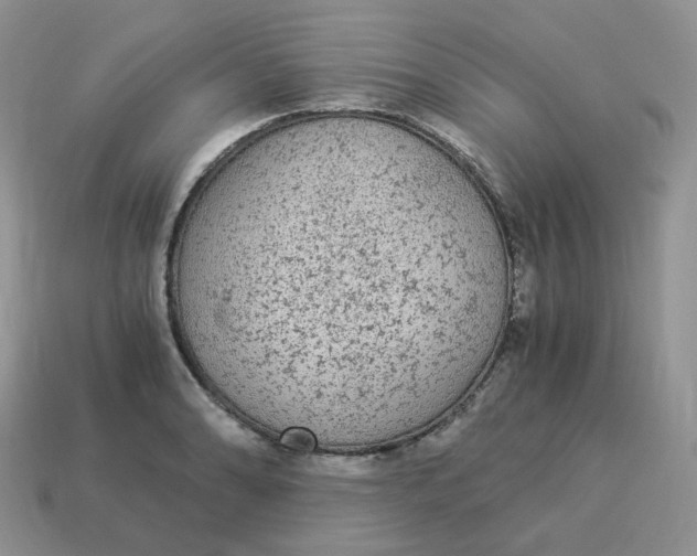 X0000114521086200911091146