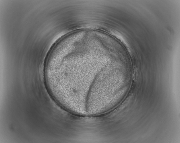 X0000114521087200911091146