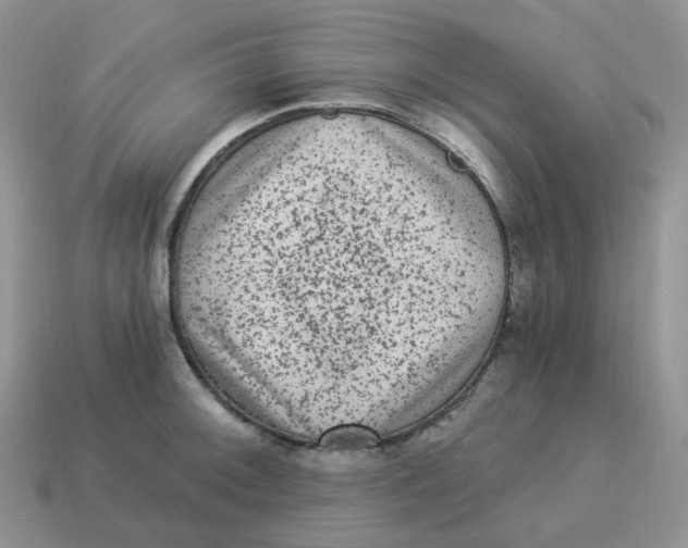 X0000114521092200911091146