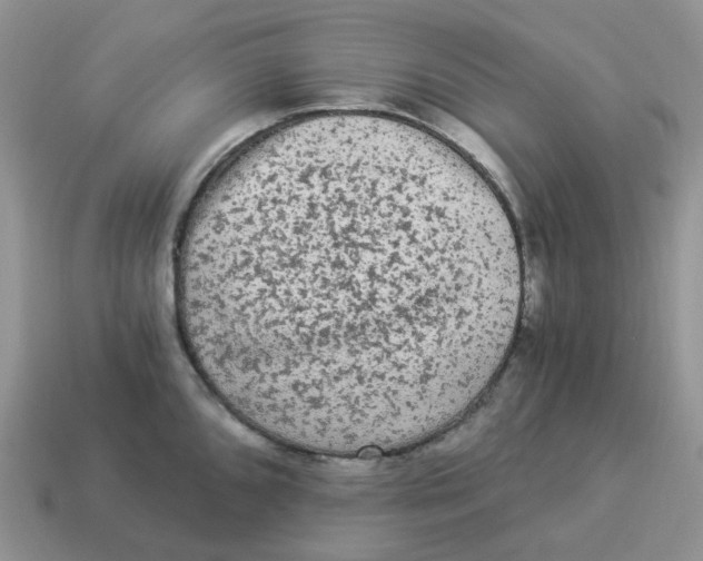 X0000114521096200911091146