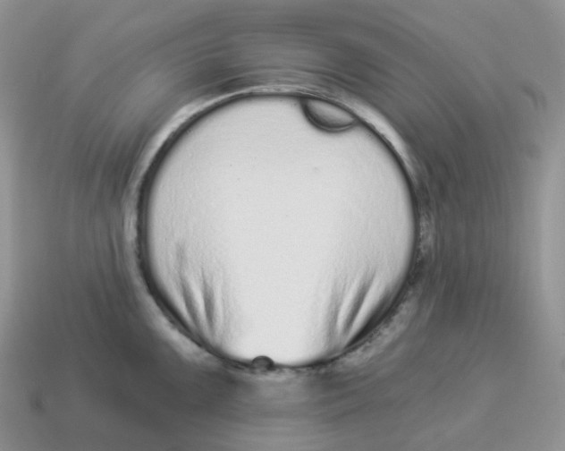 X0000114521099200911091146