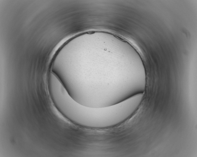 X0000114521100200911091146